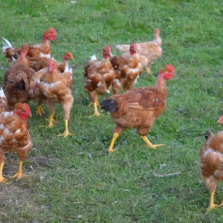 Briassou Vakantieboerderij
