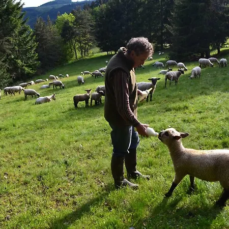 Briassou Grazac (Auvergne)