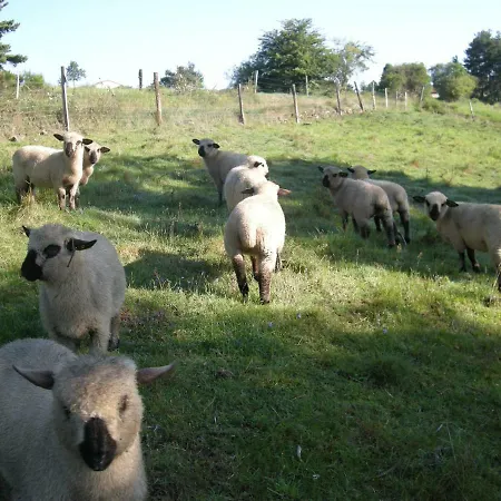 Vakantieboerderij Briassou *